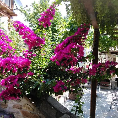 Victoria's House * Nikiti (Sithonia)